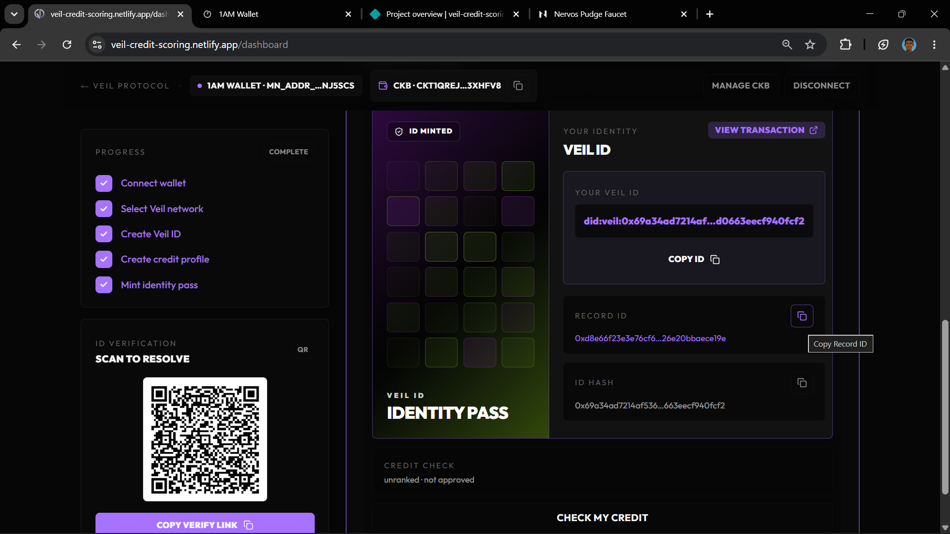 Final dashboard state showing Veil ID, View Transaction link, and Check My Credit button
